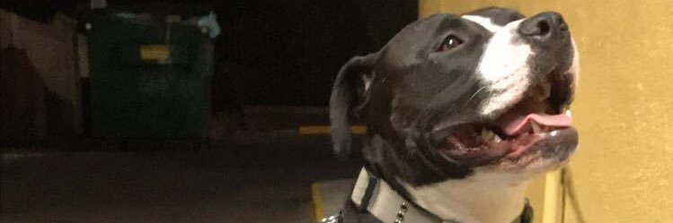 SmallzMcGee's profile banner image
