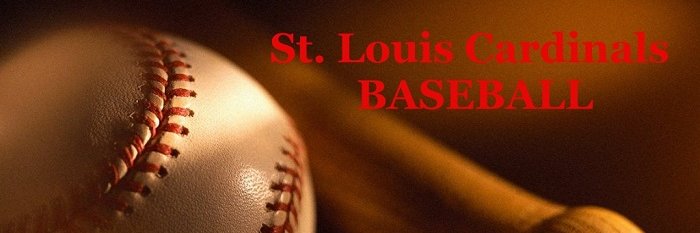 Beth Chapman banner