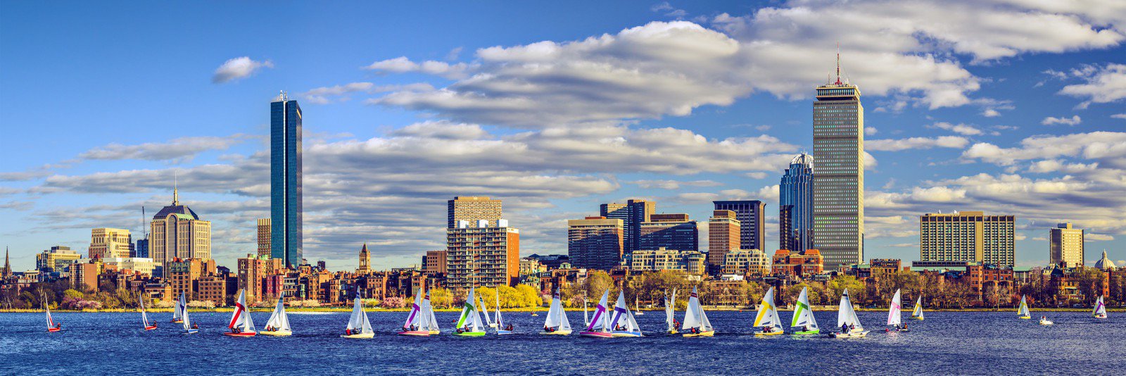 DB1967_Boston's profile banner image