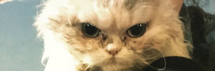 Lauraaaaaaa_L's profile banner image