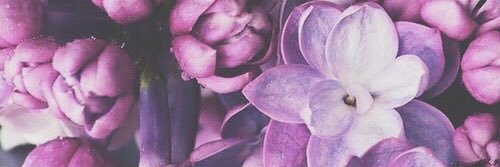 taranoetzelmann's profile banner image