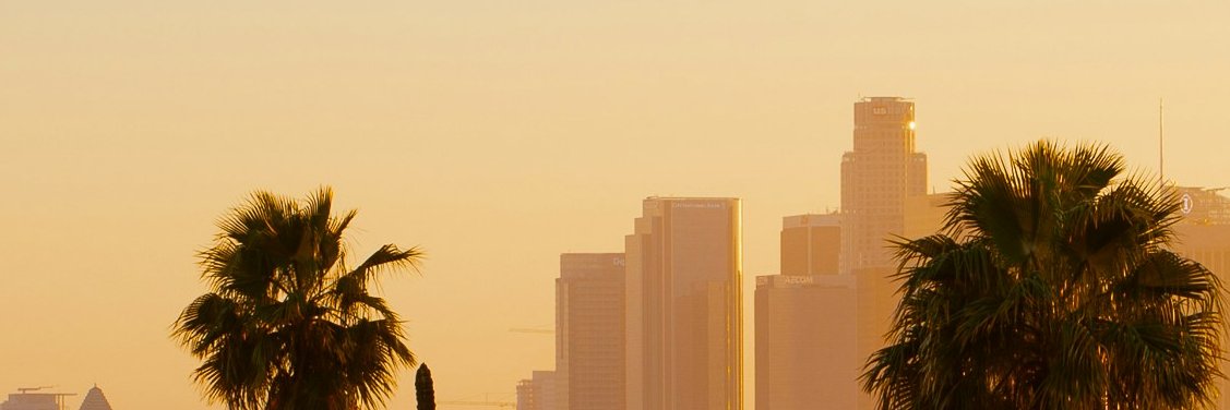 urlocalshibe's profile banner image