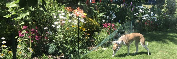 MangoCozmo Profile Banner