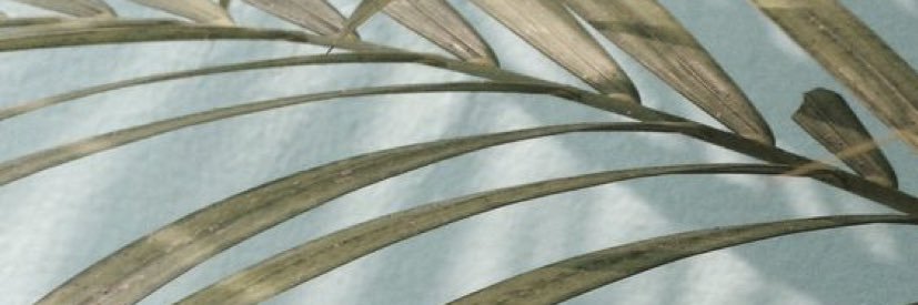 TrinnaHovan's profile banner image