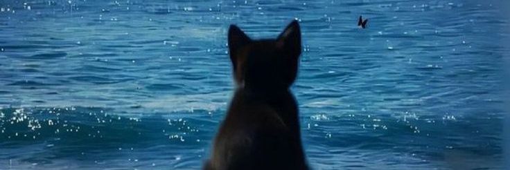 VLUETERRY's profile banner image