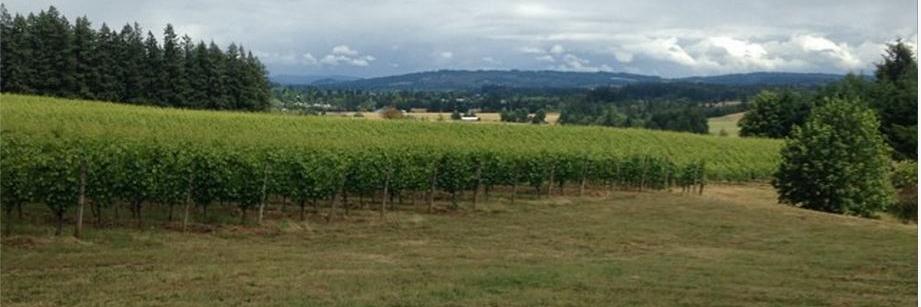 RieslingSlut's profile banner image