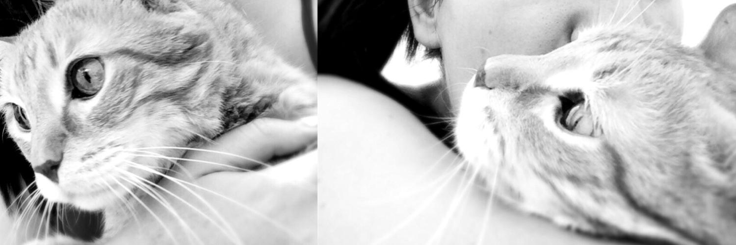 Carmengrc4's profile banner image