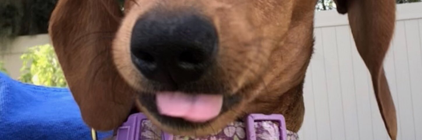 RomeIsNotInDC's profile banner image