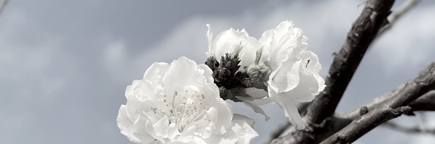 28OI㊄㊈ banner