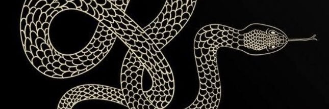 MorganRorah's profile banner image