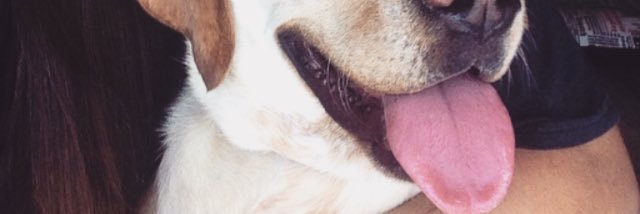paula_raso's profile banner image