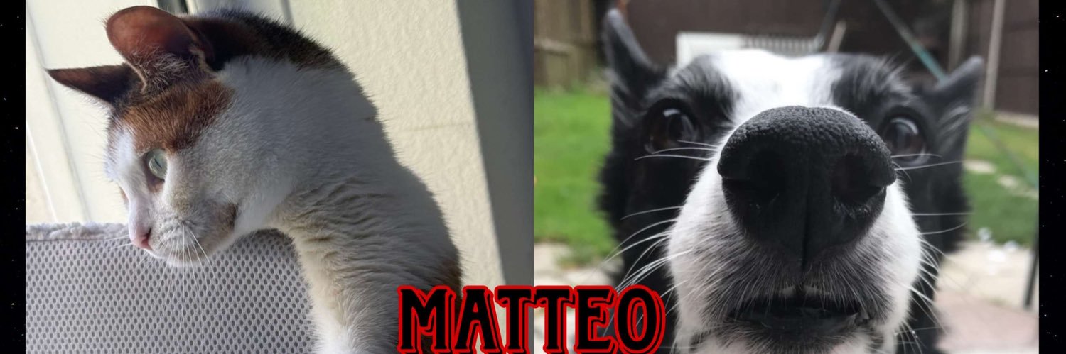 MatteoContiman's profile banner image