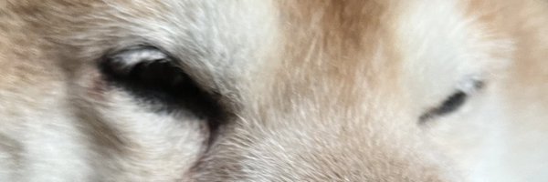 reinamuko1224 Profile Banner