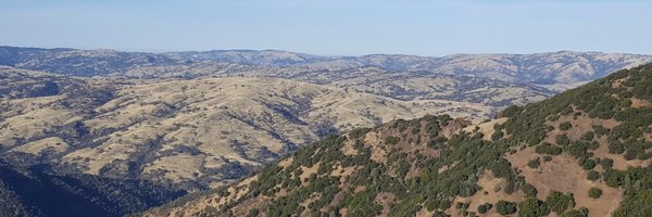 amhey Profile Banner