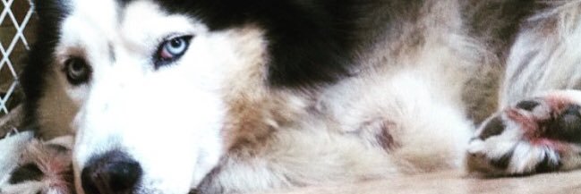 NYGI222's profile banner image
