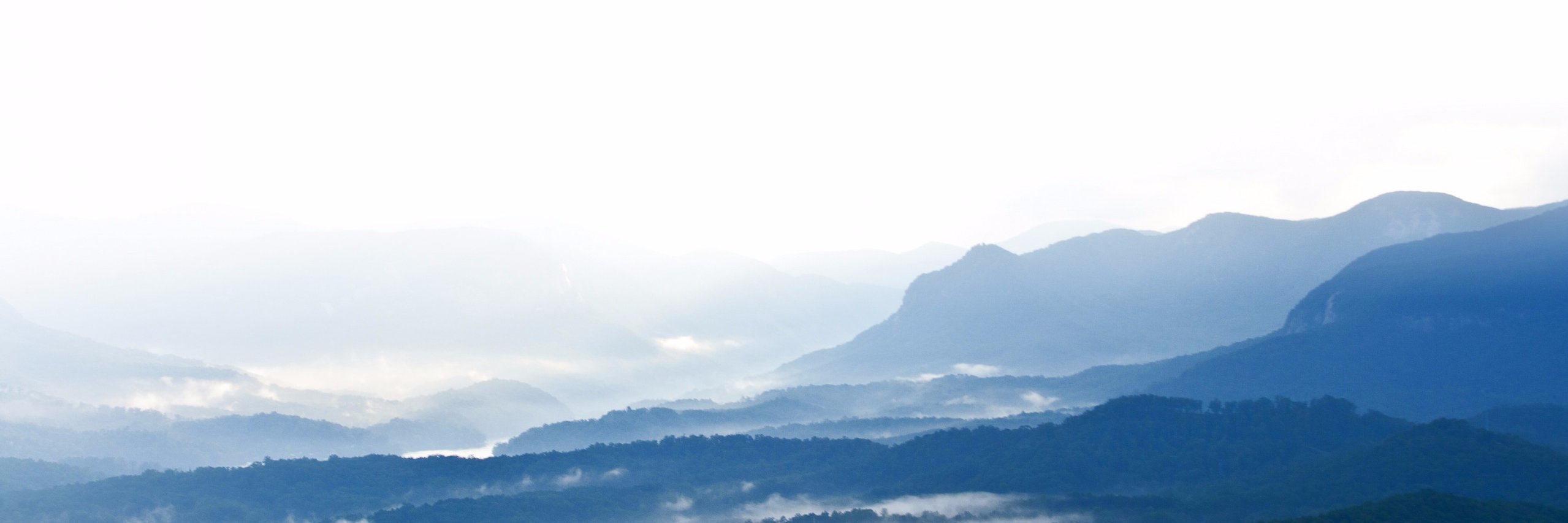 osh_roberts's profile banner image