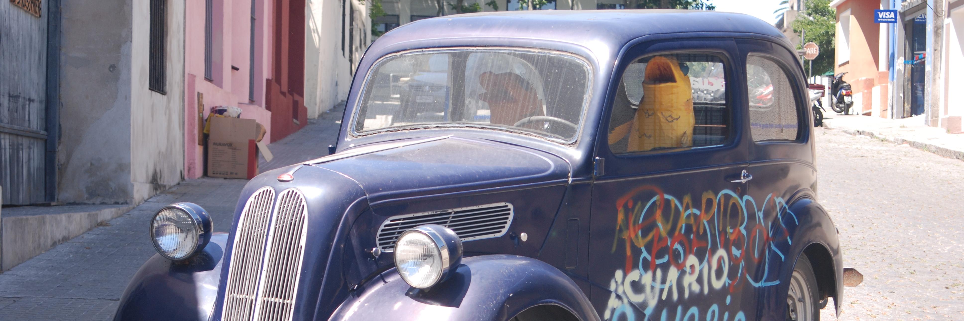 Damian D'Onia banner