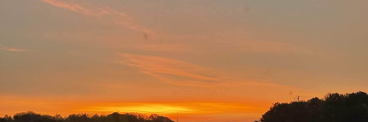madisondayleee's profile banner image