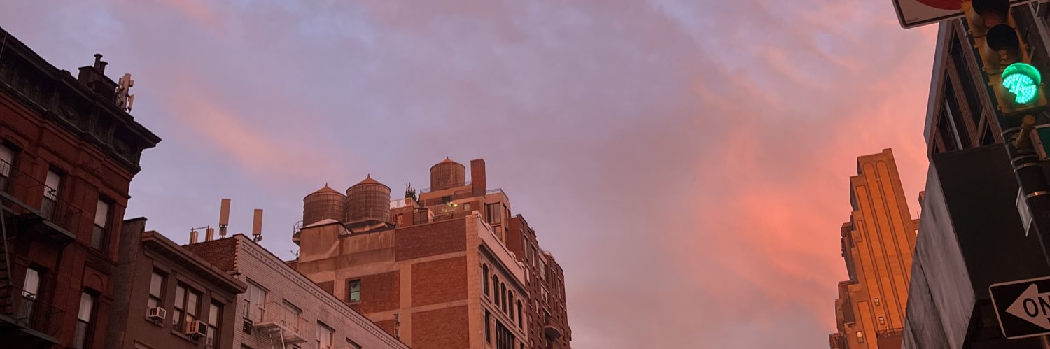 IzziSteinhaus's profile banner image