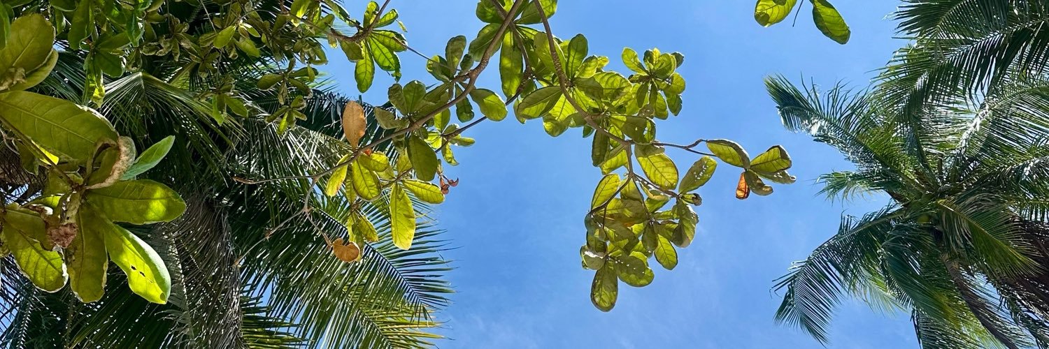 maminabel's profile banner image