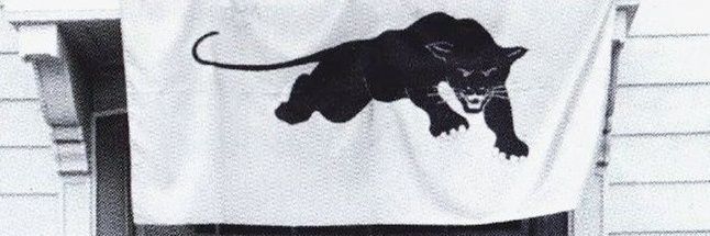 Norah K's banner