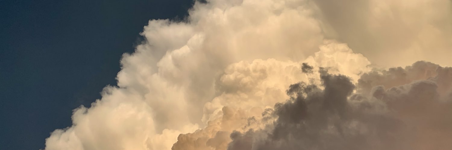 Flyin_H's profile banner image