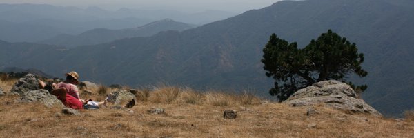 SansTransiOc Profile Banner