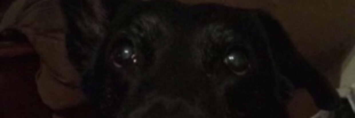 twistedties's profile banner image