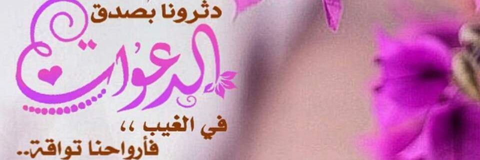 mnll12345's profile banner image