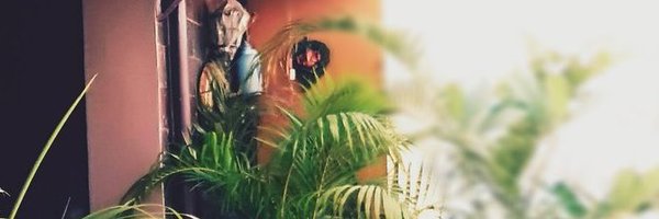 VikasJain216 Profile Banner