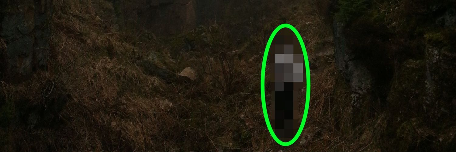 bury me under a pine tree banner