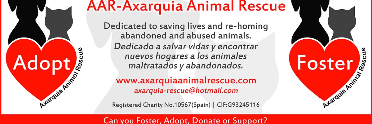 animalsAAR's profile banner image