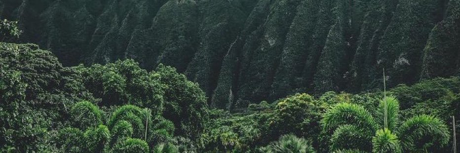 bretram_'s profile banner image