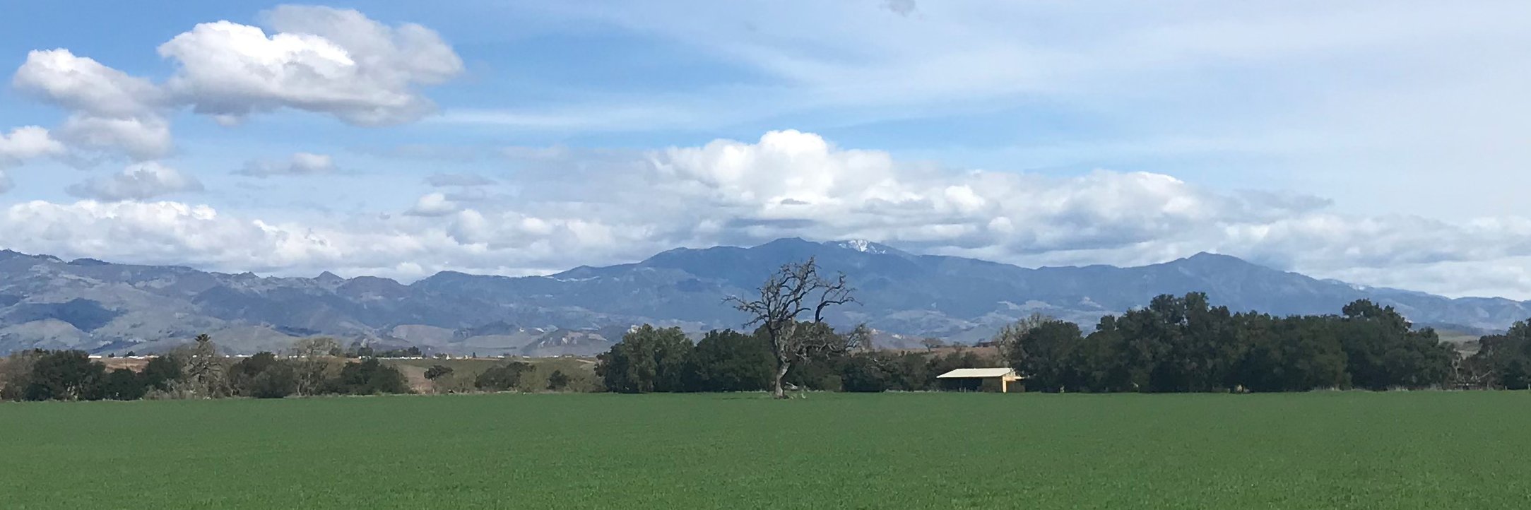 Jason Candles banner