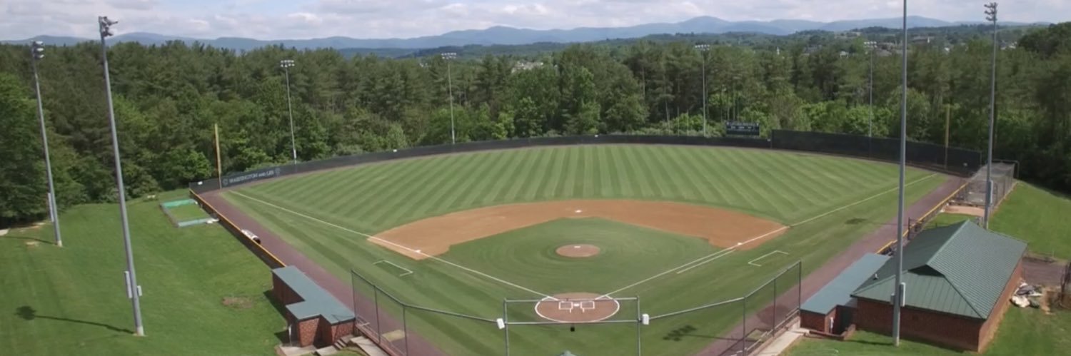 W&L Baseball banner