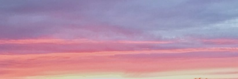 ogregora's profile banner image