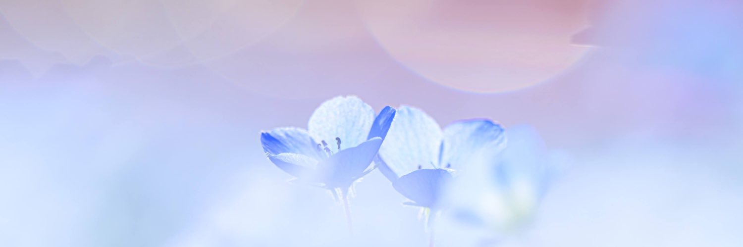 minakamo3's profile banner image