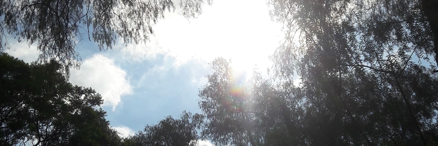 ElDiqueEcatepec's profile banner image