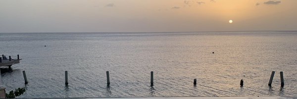 r_mayer Profile Banner