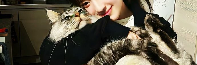 luigi_damato's profile banner image
