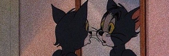 PlaytimeJay's profile banner image