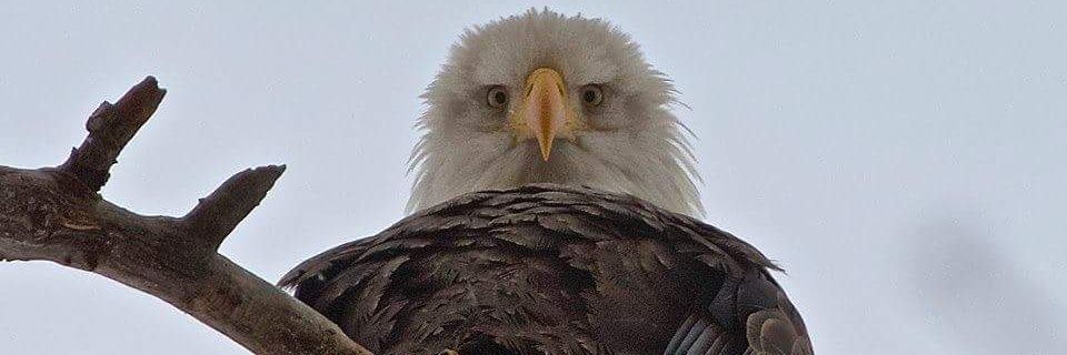 ben_acre's profile banner image