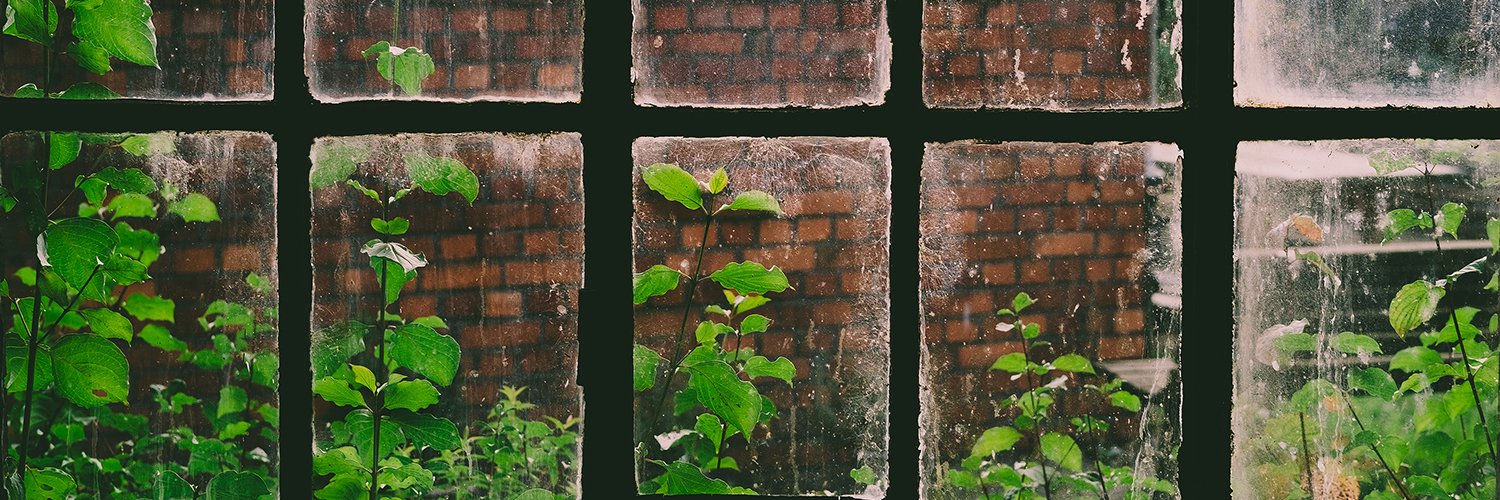 Shan O'Saur ᕕ(ಠ_ಠ)ᕗ banner