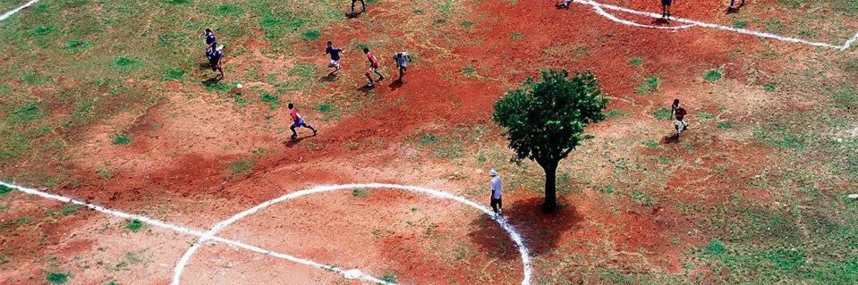 Neil Stephens banner