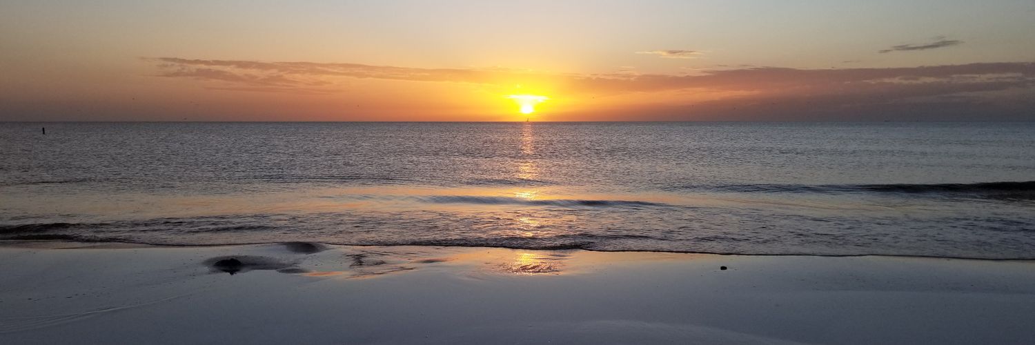 Kadina Johnston banner