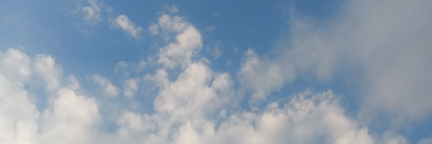 MarianaAdog's profile banner image