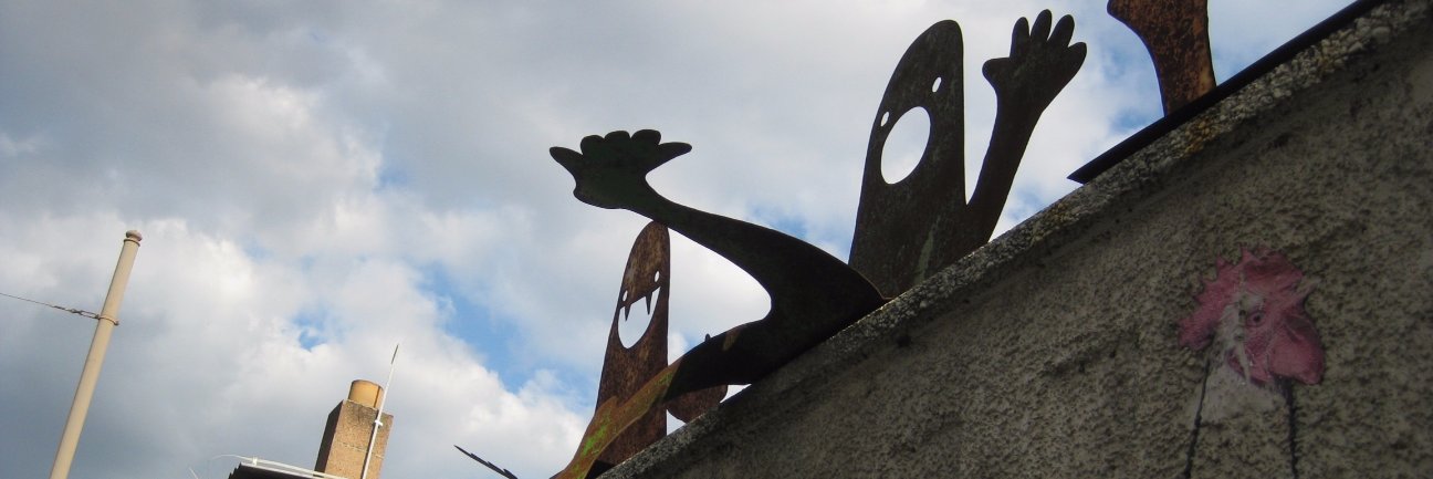 Dr Frances Singer banner