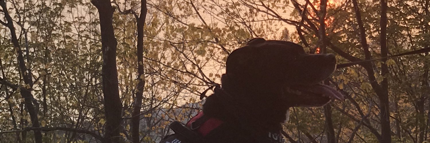 ClayNegen's profile banner image