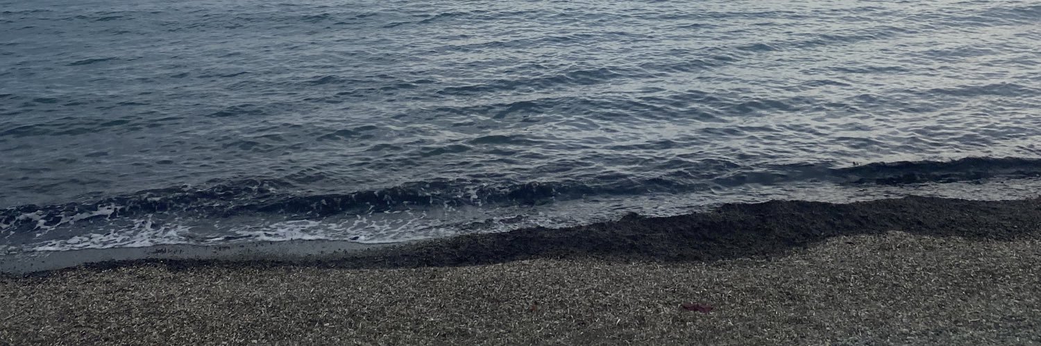Aligmstkm's profile banner image