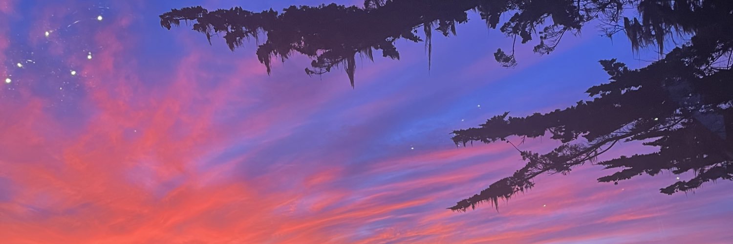 _sierrawhite_'s profile banner image